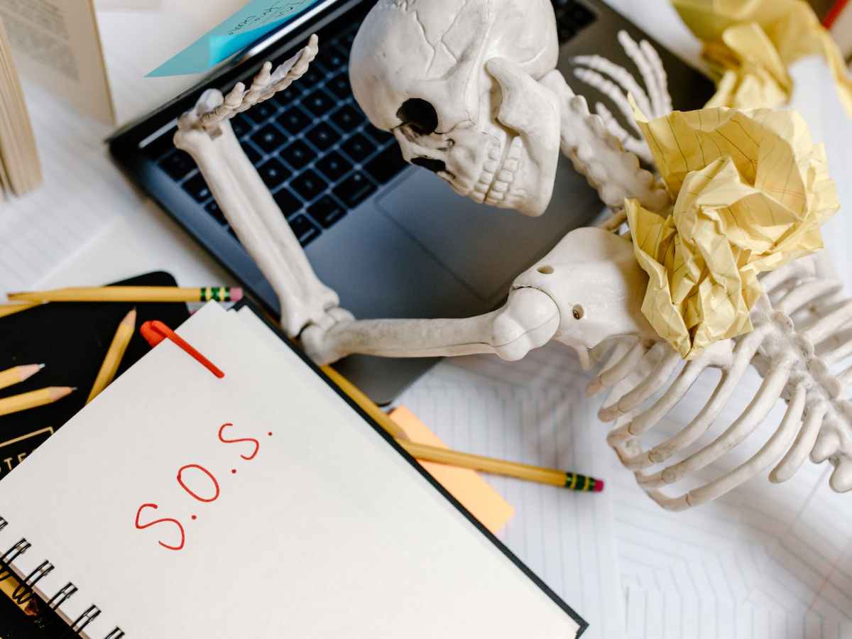 A type of return – Late February 2024