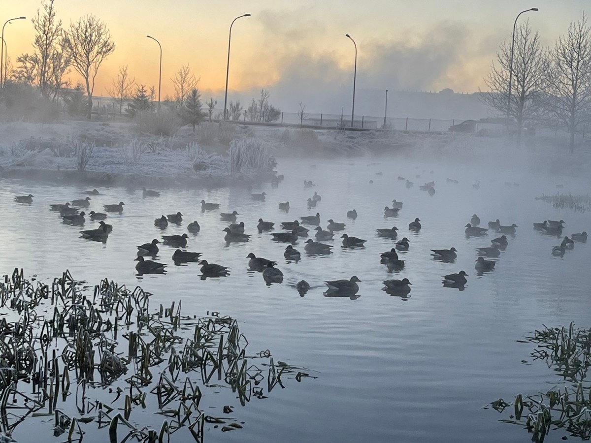 Holiday Season – Zero to Sixty